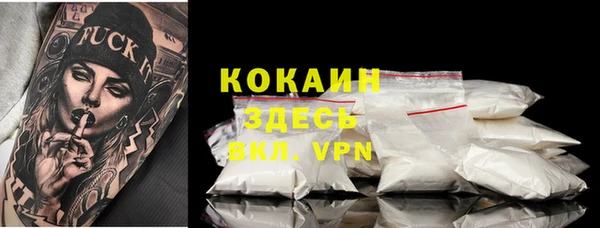 шишки Тында