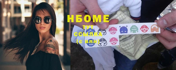 шишки Тында