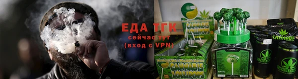шишки Тында