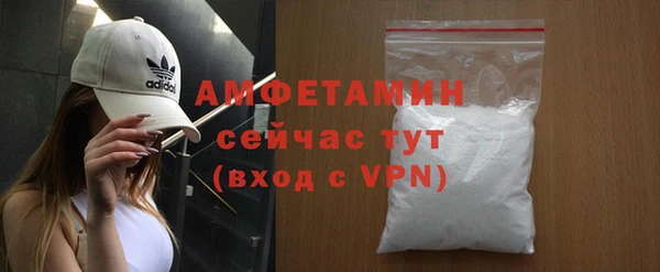 шишки Тында