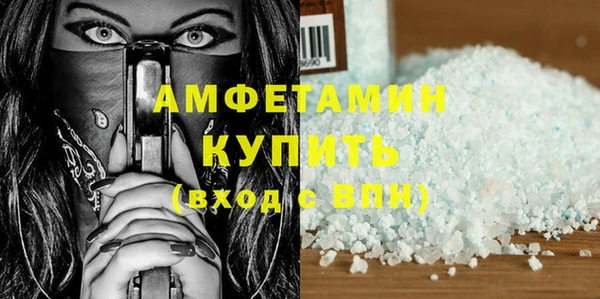 шишки Тында