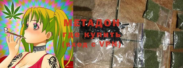 шишки Тында