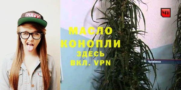 шишки Тында