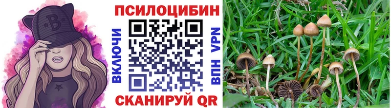 Псилоцибиновые грибы мухоморы  Воронеж 