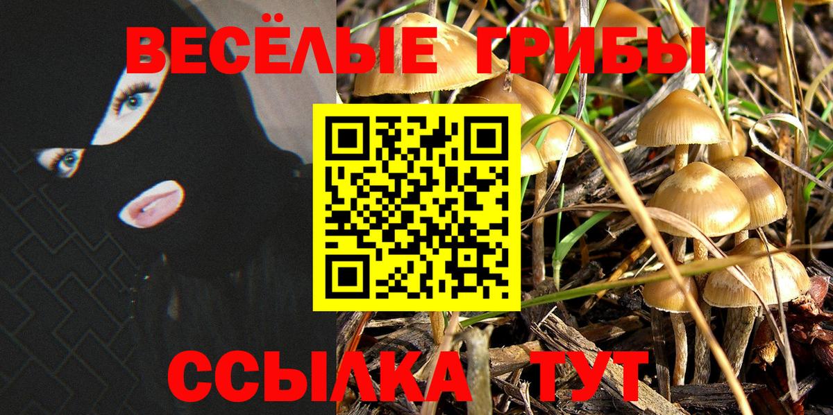 Псилоцибиновые грибы Cubensis Воронеж