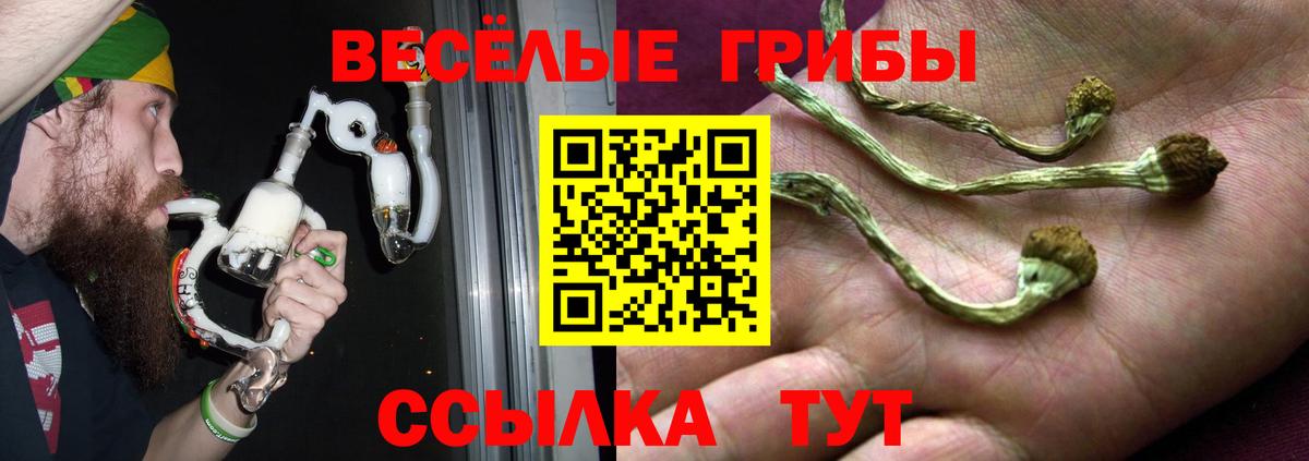 Воронеж  Галлюциногенные грибы Cubensis  закладки  Вход с VPN 